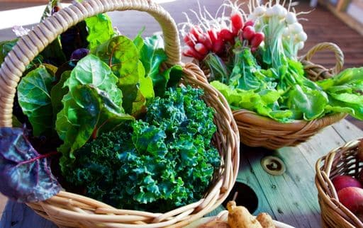 How to retain the green colour of leafy vegetables How to retain the green colour of leafy vegetables