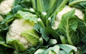 How to cut cauliflower