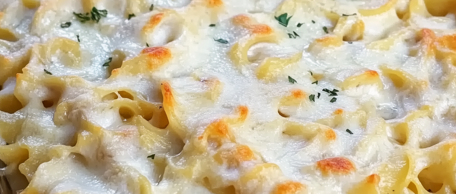 polish noodle casserole 1