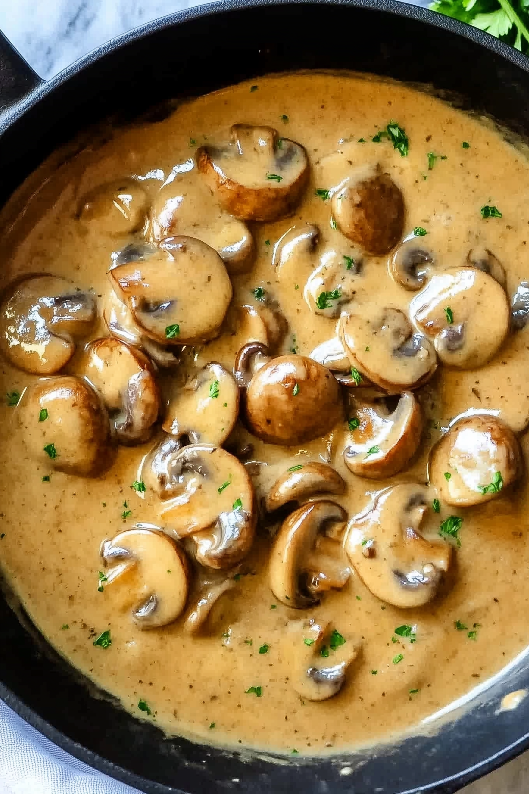 Creamy Mushroom Sauce 1 scaled Creamy Mushroom Sauce 1 scaled