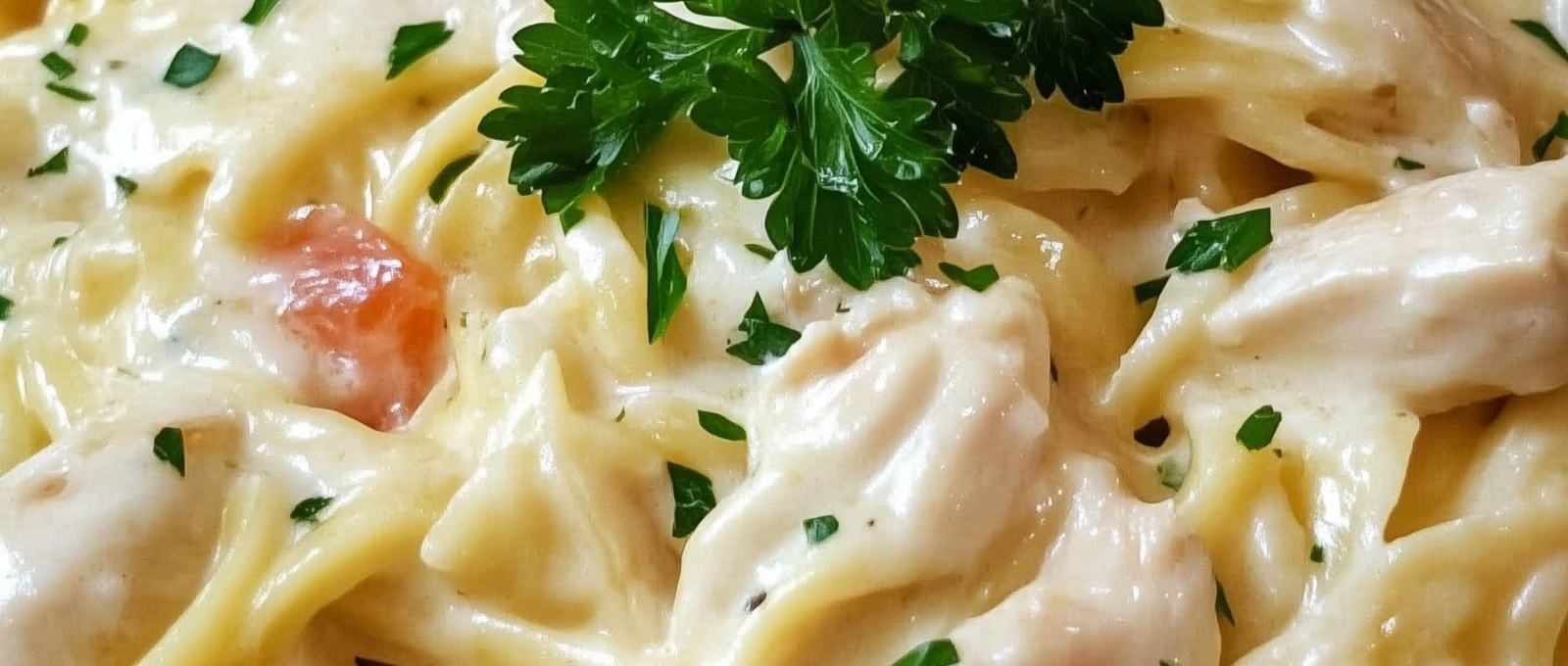 Crock Pot Chicken Alfredo 1