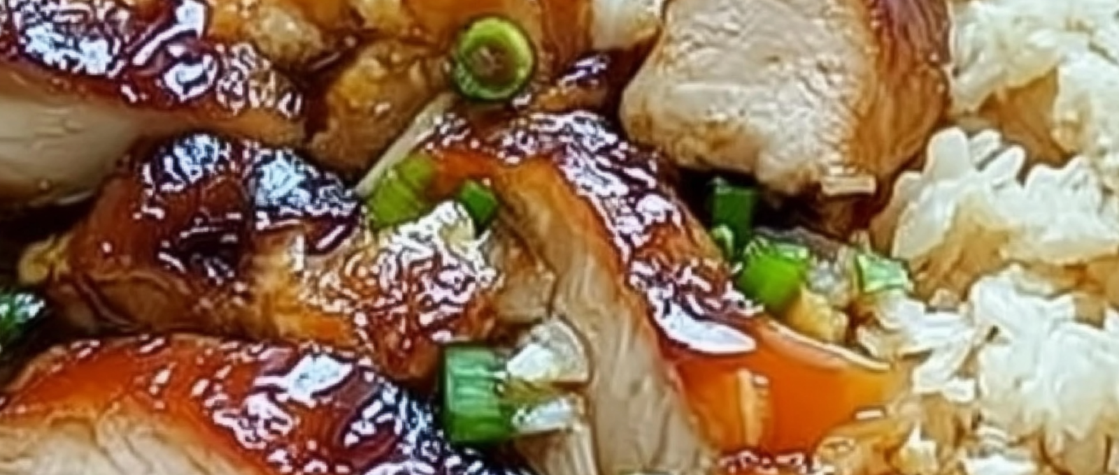 Caramelised Soy Chicken in Garlic Ginger Broth with Rice 1 1