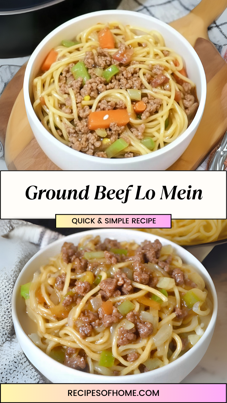 Ground Beef Lo Mein 3