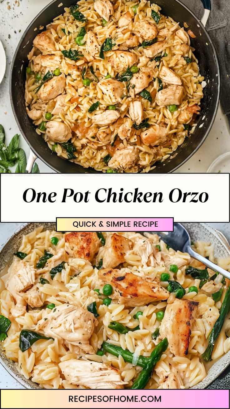 One Pot Chicken Orzo 3